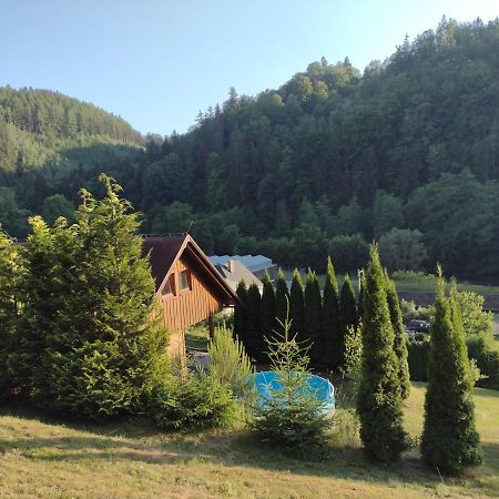 Chata Dvirka Zelezny Brod Exterior photo